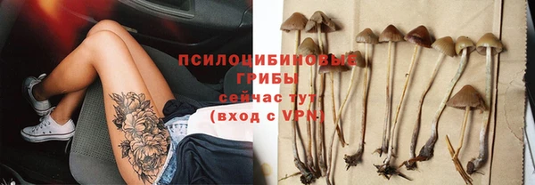 гидропоника Козельск