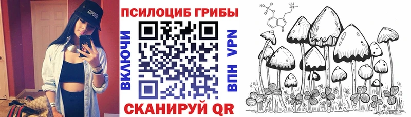 Купить закладки  Печоры  Галлюциногенные грибы прущие грибы 